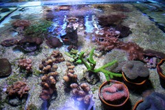 Killikus&reg; Fotographie